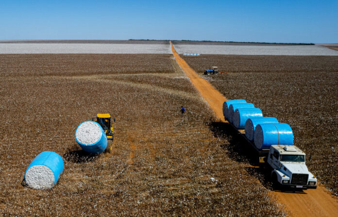 PIB de Mato Grosso registra a maior variação percentual do país e cresce mais de 1.230% em 20 anos