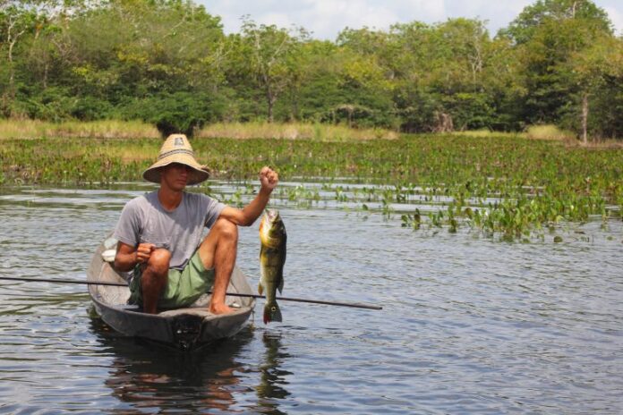 Agropecuária - geral - conservação preservação ambiental produção agrícola pesca pescador subsistência Incra reforma agrária peixes alimentação rural (reserva extrativista Renascer, Prainha-PA)