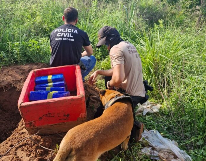 Operação da Polícia prende grupo que torturou casal em MT