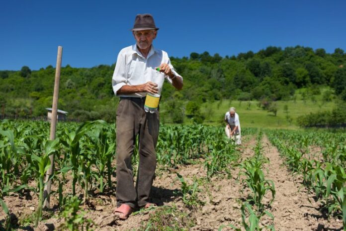 Idoso agricultor trabalhador no campo aposentadoria rural trabalhador rural agropecuária