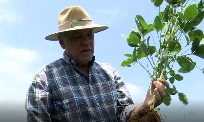 Produtor rural Zecão