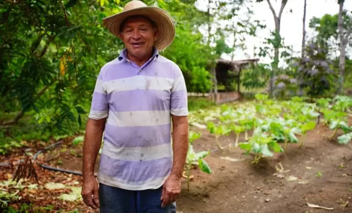 Produtor rural de chapéu em frente à plantação