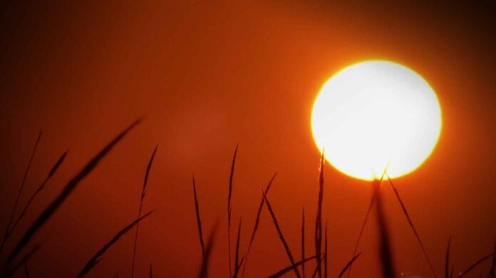 Calor extremo e secas impactam no preço dos alimentos