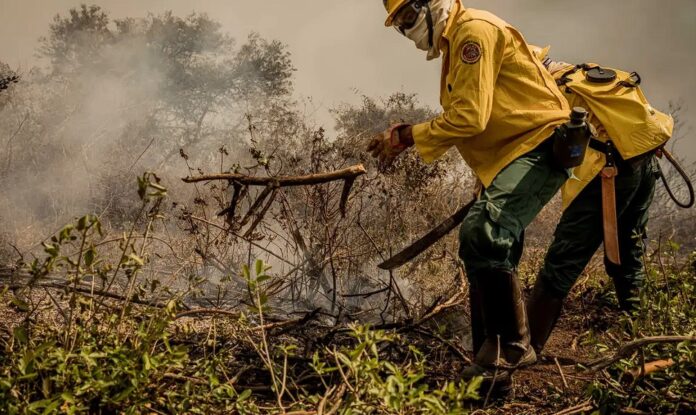 Incêndios Pantanal