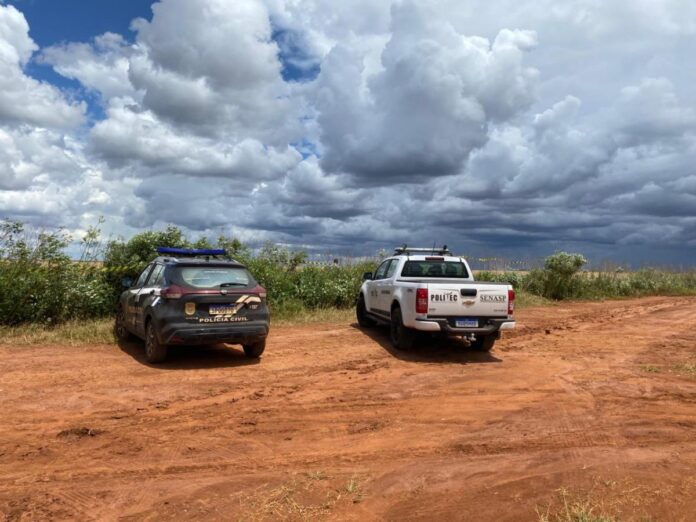 Corpo de trans é encontrado decapitado em lavoura de soja no interior do Estado