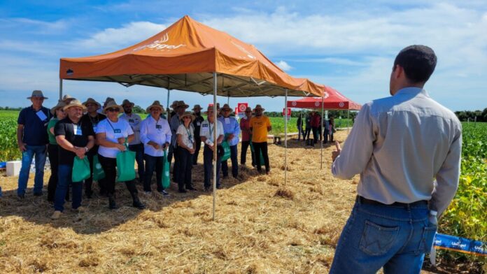 Jornada Tecnológica de Pedro Afonso impulsiona a produtividade de soja na região