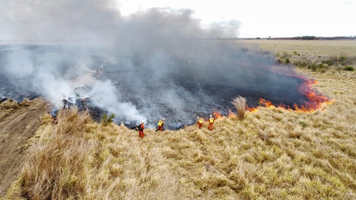 Área equivalente a 15 campos de futebol é atingida por incêndio em Luís Eduardo Magalhães. Bombeiros levaram cerca de 24 horas para finalizar combate