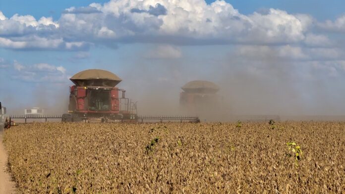 economia, pib do agro, agronegócio, bahia, soja, colheita, participação, agro