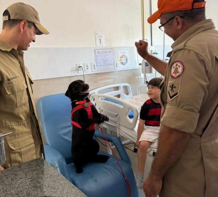 Bombeiros levam cães para visitar crianças internadas no Hospital Santa de Cuiabá