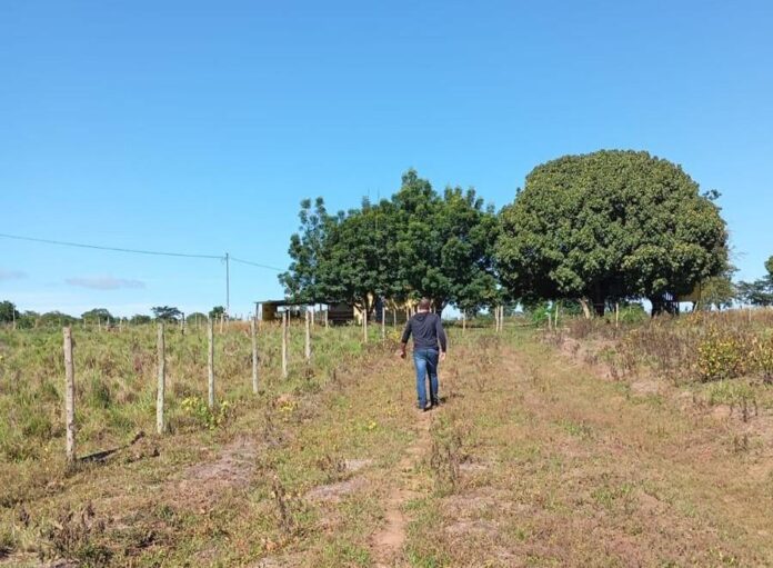 Polícia Civil realiza buscas em área de fazendas para localizar autor de homicídio de casal morto na frente do filho