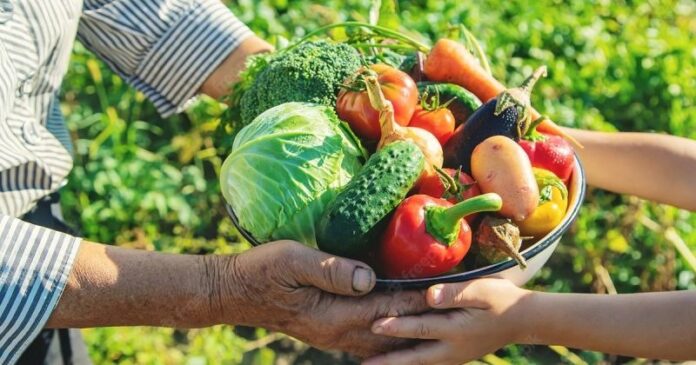 Prefeito João Filho quer mais produtos da Agricult