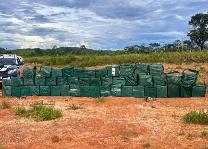 Forças de Segurança apreendem 1,5 tonelada de cocaína em Mato Grosso VEJA VÍDEO