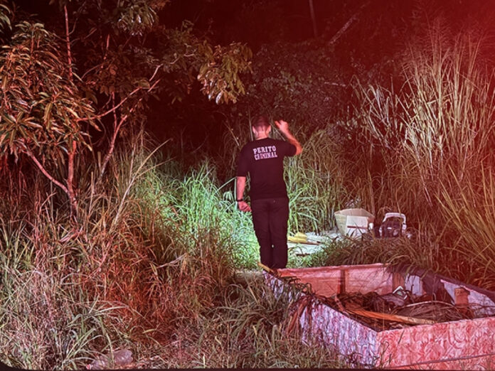 Cachorro encontra feto em saco de lixo e carrega por ruas de cidade de MT