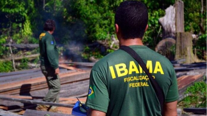 Ibama abriu concurso para vagas de analista