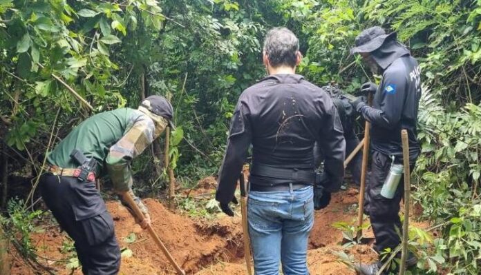 Polícia Civil localiza mais cinco corpos em área de mata em MT