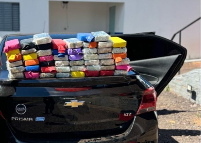 Polícia Militar e PRF apreendem 51 tabletes de cocaína e causam prejuízo de R$ 1 milhão ao crime na região do Araguaia