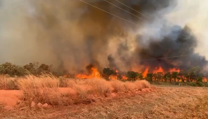 Polícia Civil do Piauí, investiga morte de brigadistas após incêndio florestal em Uruçuí