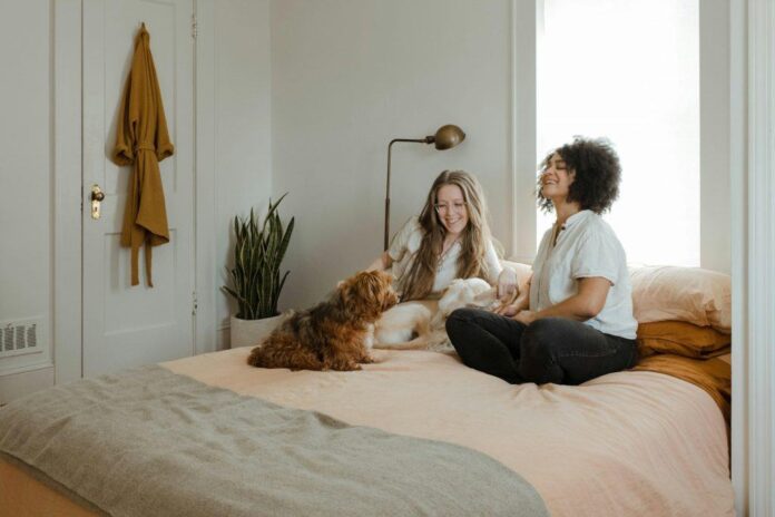 Casal com cachorros deitados na cama 