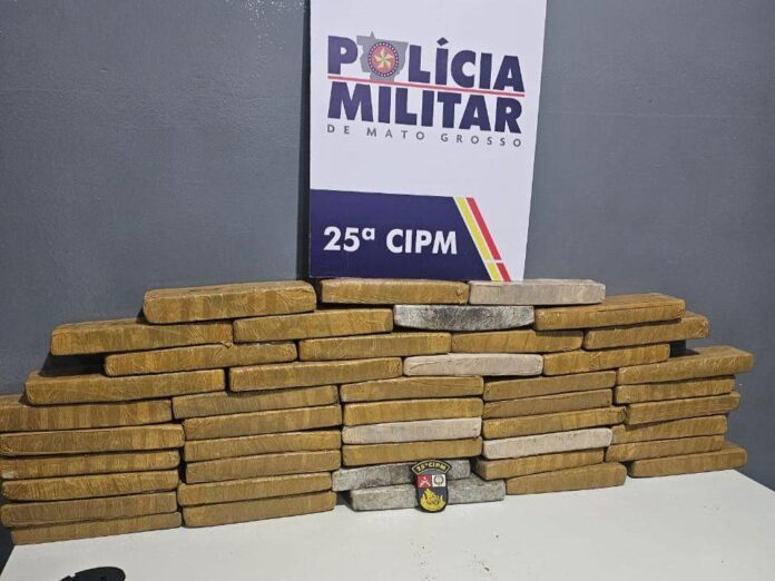 Polícia Militar prende caminhoneiro por tráfico de drogas e apreende 45 tabletes de maconha - 