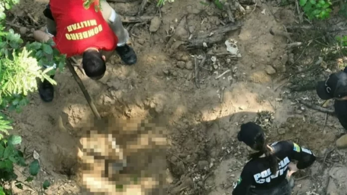 Corpos são encontrados em fazenda de Goiás; vítimas podem ser da mesma família