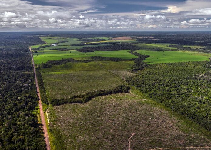 Amazônia Legal