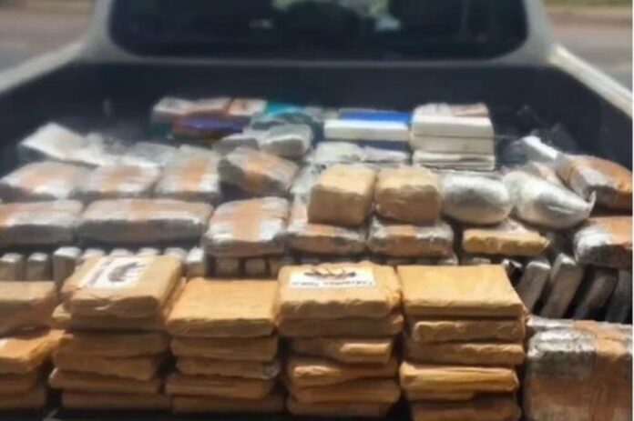 Polícia apreende 370 kg de drogas e causa prejuízo de R$ 3,5 milhões