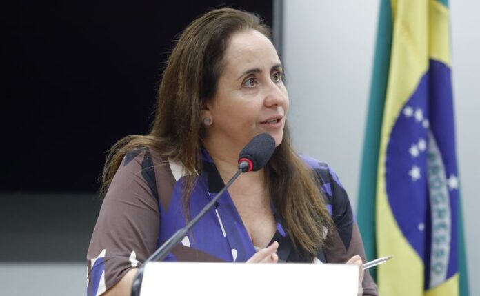 Subcomissão Permanente para tratar do Sistema Nacional de Educação (SNE). Dep. Adriana Ventura (NOVO-SP).