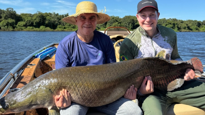 Sogro e genro pegam dois peixes de mais de 1,80m em 24h no Araguaia