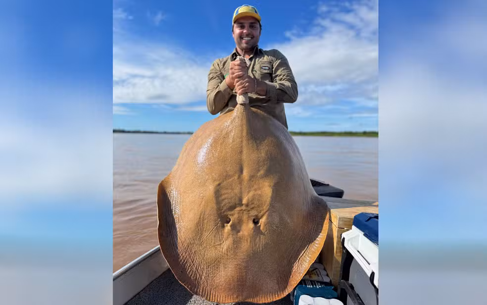 Arraia gigante é fisgada por advogado no Rio Araguaia: ‘Momento único’