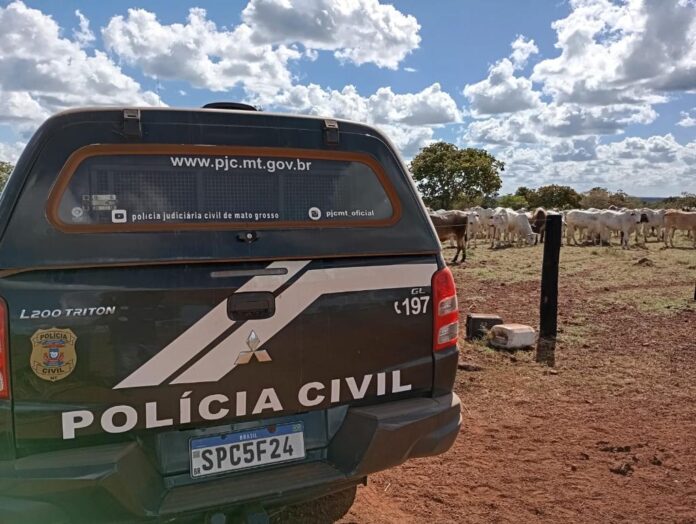 Polícia Civil recupera cabeças de gado de produtor rural em Nova Xavantina - 