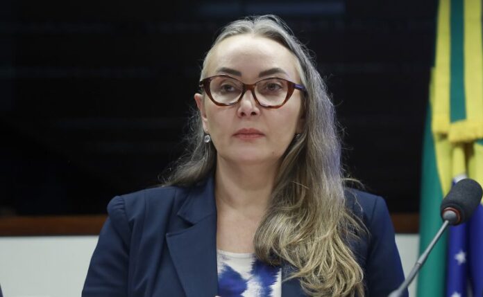 Audiência Pública - Duplicação BR-470 entre Navegantes, Ilhota, Gaspar, Blumenau e Indaial (SC). Dep. Daniela Reinehr (PL - SC)