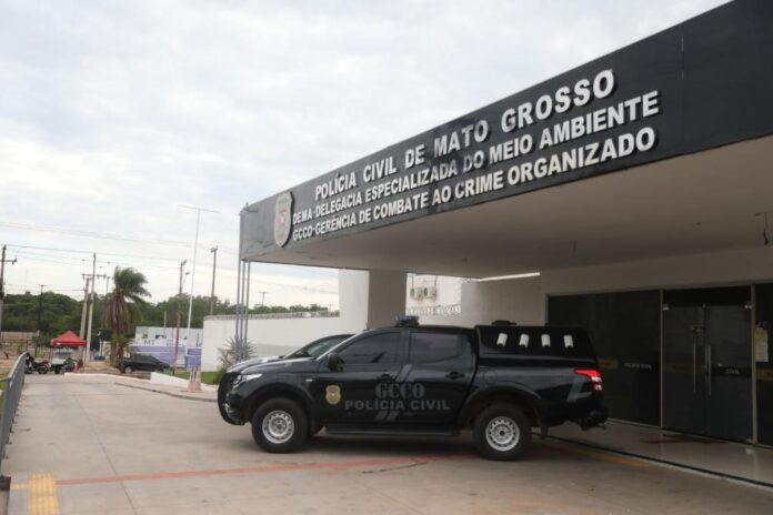 Polícia Civil de MT prende 13 integrantes de grupo criminoso de São Paulo que furtaram R$ 300 mil em Sorriso - 