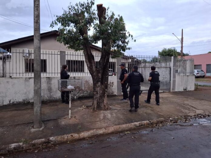 Operação da Polícia Civil desarticula esquema de furto de grãos na região de Ribeirãozinho