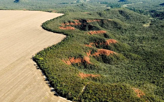 Cerrado ultrapassa Amazônia em desmatamento