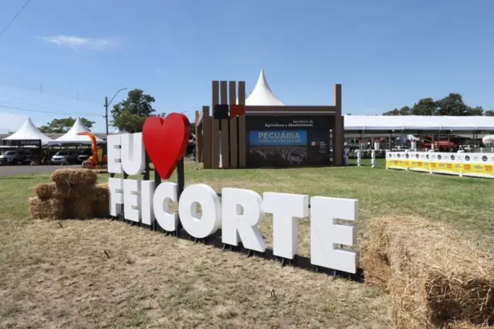 feicorte 2025