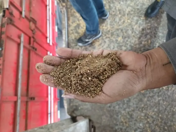 farelo de soja adulterado Porto de Paranaguá